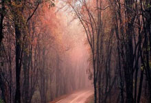 Fifa14SuperSkillMovesAPP 游戏辅助_高级技巧