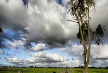 暗黑军团 军团对战_暗黑风格