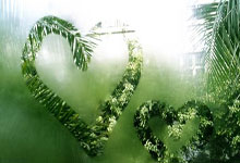 Fifa14SuperSkillMovesAPP 游戏辅助_高级技巧