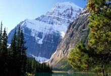 111qq.cn（一一一QQ中国）@域名whios查询-网站信息查询-服务器ip查询结果